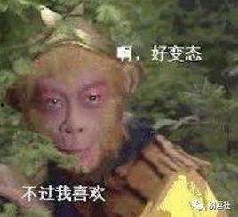 孙悟空吃瓜表情包是什么意思啊,揭秘网络流行文化的趣味解读