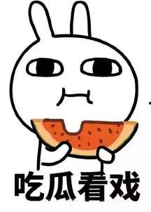 娱乐吃瓜酱算什么行业的,揭秘娱乐圈幕后那些事儿