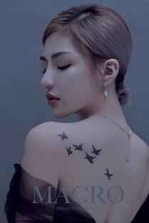 网红猫女林,萌态可掬的喵星人，网络红人的魅力之旅