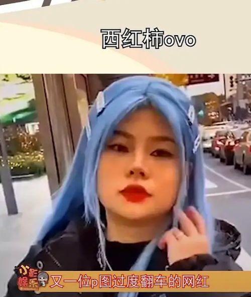 网红西红柿怎么没了